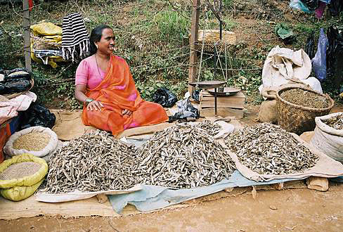 
Dried fish seller in city Tansen.
