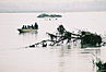 
Chitwan, plavba po rieke Rapti.
Chitwan, Rapti River canoeing.
