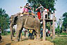 
Jazda na slonoch, nastupna plosina.
Elephant ride, entering platform.
