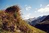 
Alpska priroda.
Nature in Alps.
