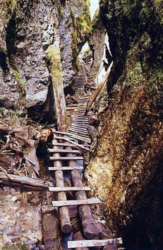 
Roth's gorge.
