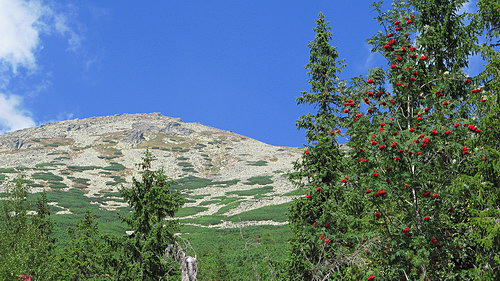 
Slavkovsky Peak (2452 m).
