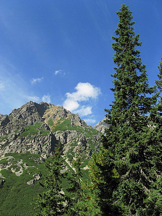 
Mengusovska valley.
