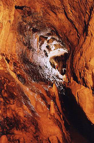 
Tunnel in Stanisovska cave.
