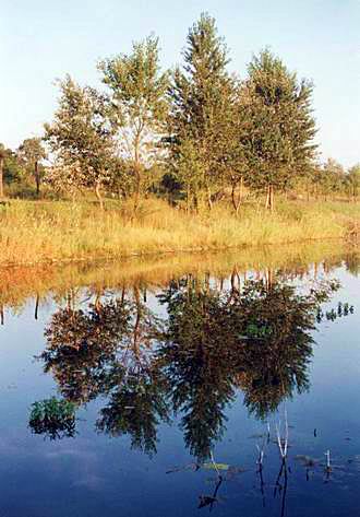 
Near Danube river.
