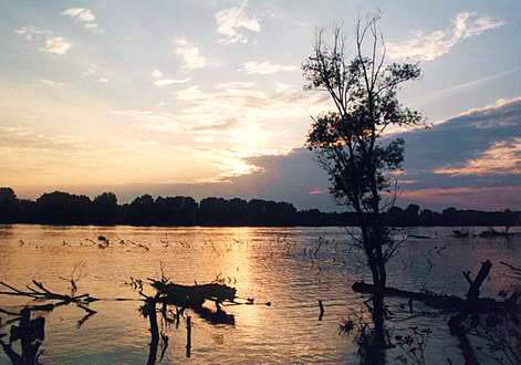 
Sunset at Danube riverside.
