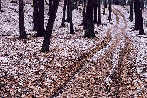 
Little Catpathian mountains.
