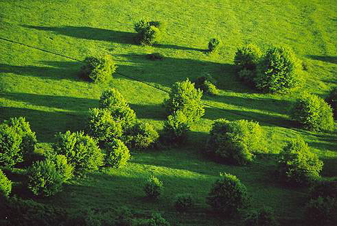 
Near Povazska Bystrica.
