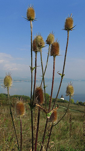 
Near Liptovska Mara.
