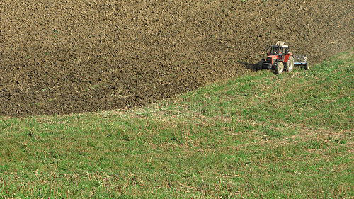 
Tractor near Likavka.
