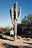 Saguaro National Monument, Arizona.