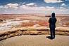 Petrified Forest National Monument, Arizona.
Malovana pust. 
Painted desert.