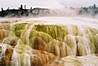 Yellowstone National Park. Mammoth Hot Springs.
Bakterie sposobuju pestre zafarbenie sintra.
Bacteria colors this sinter to green and red.