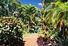 Prechadzka botanickou zahradou.
National botanical garden on Kauai.